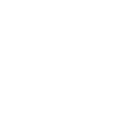 BrummBooo Driving Society